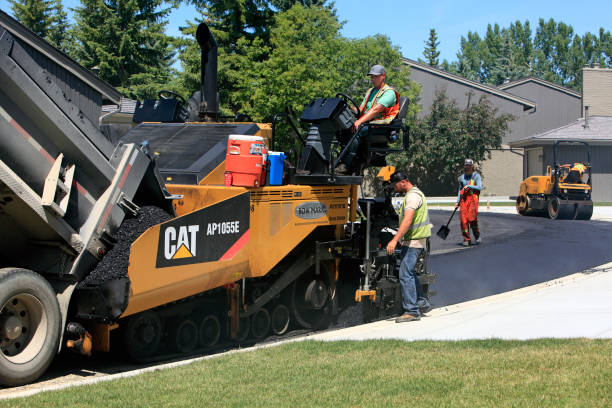 Best Driveway Paving Contractor  in Buttonwillow, CA